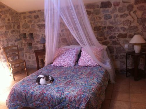 Maison � 6km de Cordes-sur-ciel