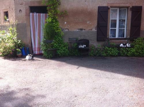 Maison � 6km de Cordes-sur-ciel