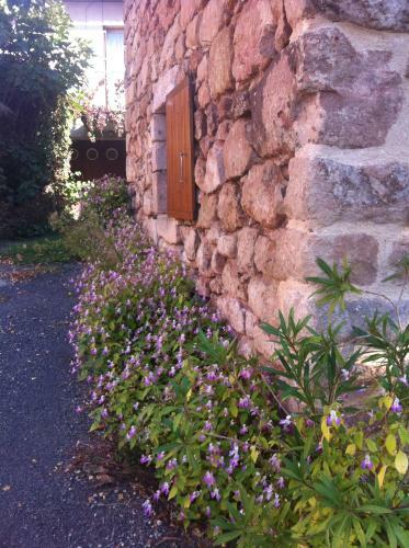 Maison � 6km de Cordes-sur-ciel
