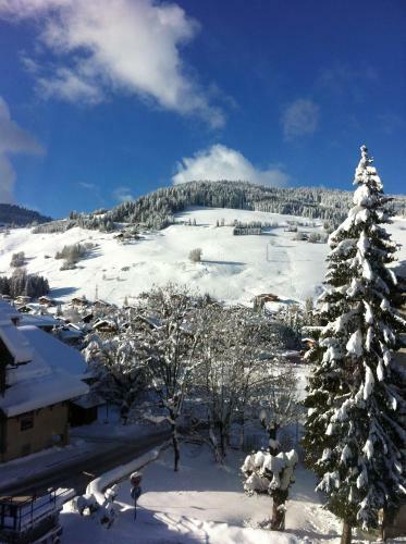 Hotel H�tel La Grange D'arly