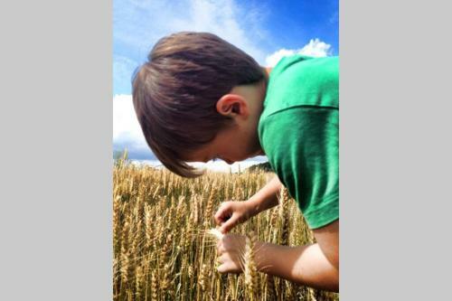 Maison Dans Ferme/nature/calme/authentique/animaux