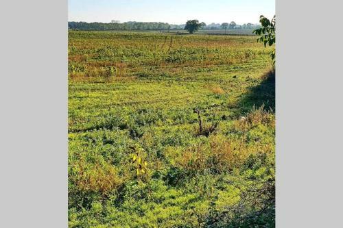 Maison Dans Ferme/nature/calme/authentique/animaux