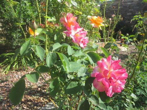 Bed & Breakfast Le Mas Lauralie