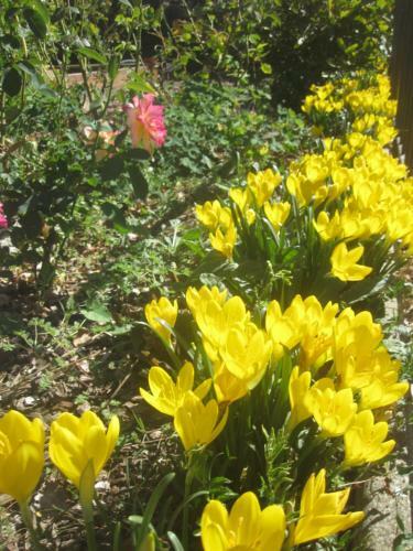 Bed & Breakfast Le Mas Lauralie