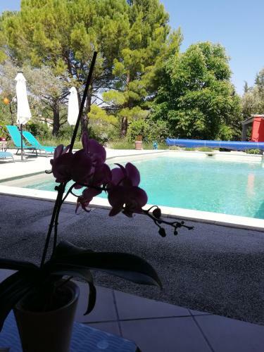 Bed & Breakfast Le Mas De La Diligence