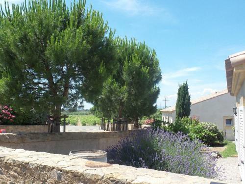 Modern Villa With Private Pool In Montburn-des-corbieres