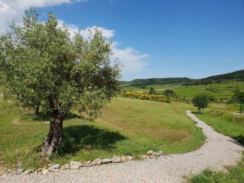 Stunning Villa In Montbrun-des-corbieres With Private Pool