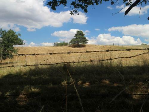 G�te Montbrison, 2 Pi�ces, 2 Personnes - Fr-1-496-158