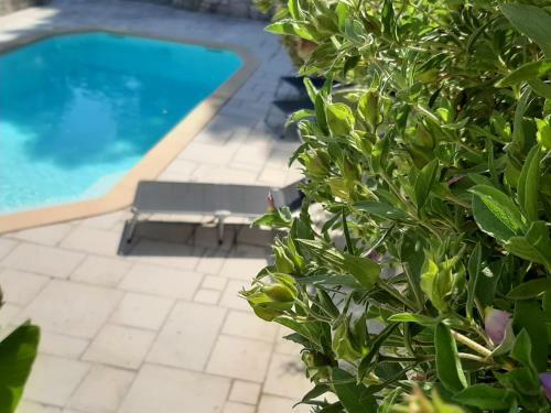 Apartamento La Villa Jasmin