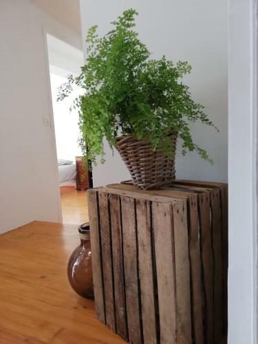 Bed & Breakfast Les Chambres De Guernisac
