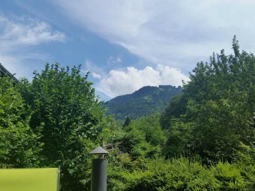 Snug Holiday Home In Morillon Near Skiing