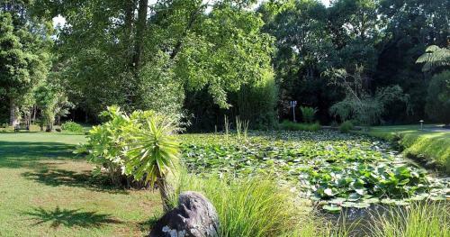 Bed & Breakfast Bushland Park Lodge And Retreat