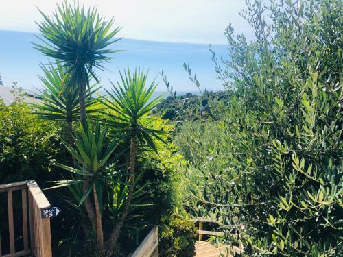 Hotel Waiheke Island Resort