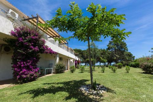 Apartamento R�sidence Odalys Acqua Bella