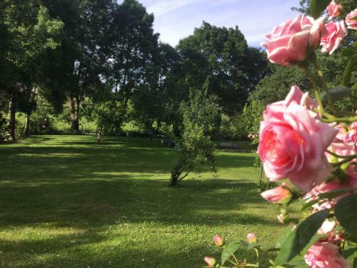 Bed & Breakfast Les Tilleuls De Mary