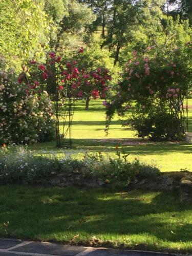 Bed & Breakfast Les Tilleuls De Mary