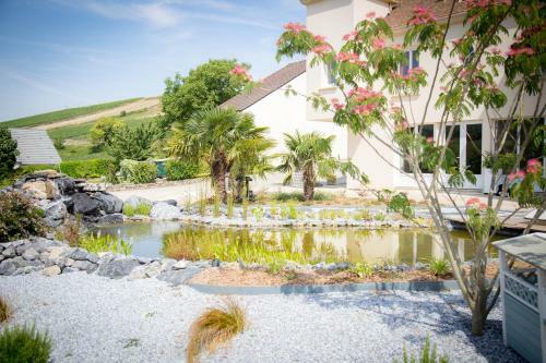 Bed & Breakfast Domaine Bacchus