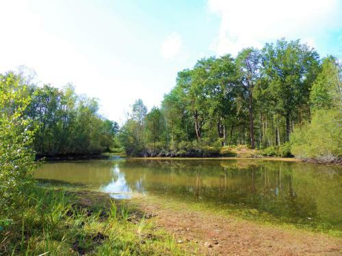 Domaine Des Courtils