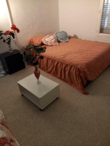 Apartamento Cosy Appartement de Millet