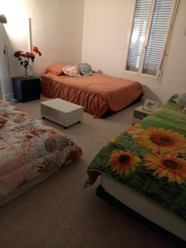 Apartamento Cosy Appartement de Millet