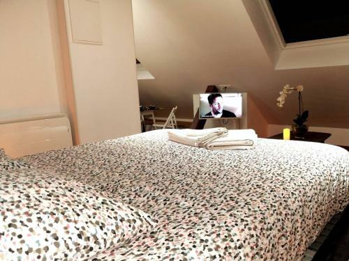 Apartamento Appartements Up & Down By Beds76