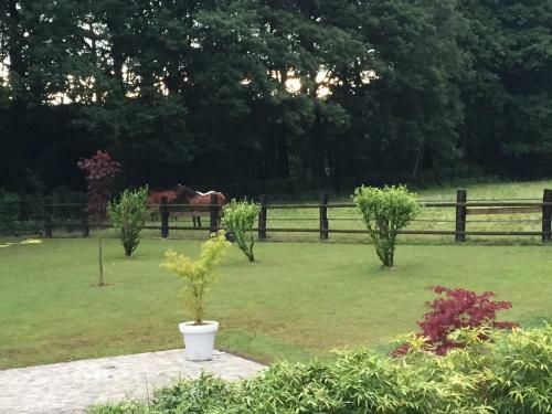 Bed & Breakfast Domaine Des Bruy�res