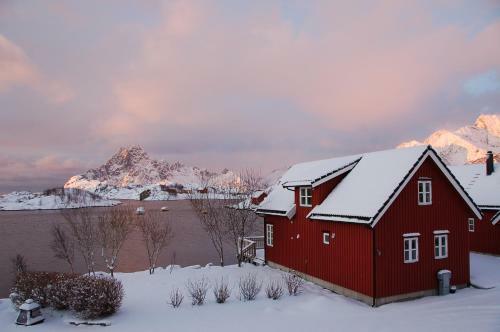Lofoten Rorbusuiter