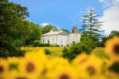 Saint-colomb-de-lauzun Chateau Sleeps 12 Pool Wifi
