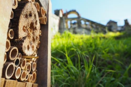 Bed & Breakfast La Belle Etoile