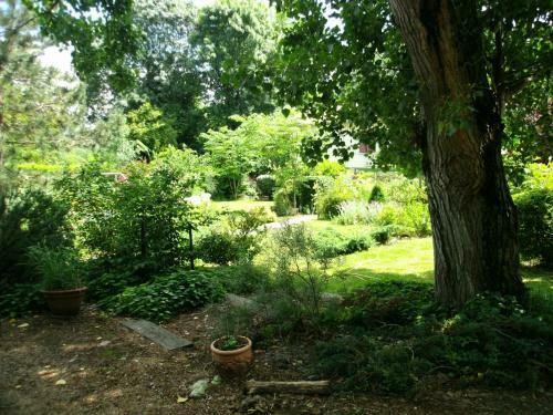 Bed & Breakfast Le Chalet Du Bord De L'eau