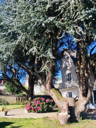 Bed & Breakfast Chambres D'h�tes La Maison Blanche
