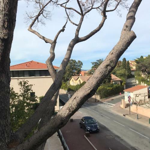 Exclusive Resort Apartment Saint Tropez
