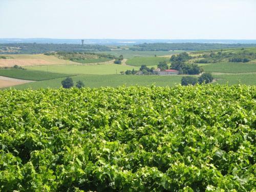 Chic Apartment In Segonzac With Swimming Pool