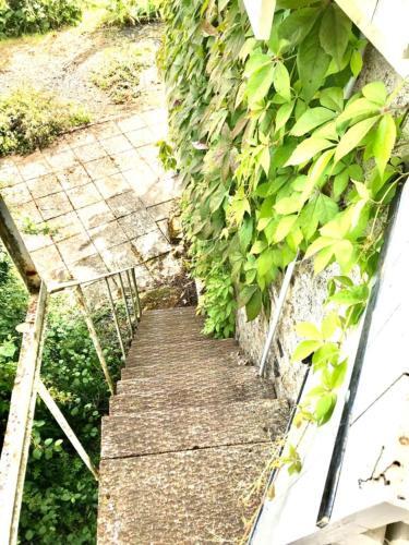 Romantic Holiday Cottage In The Morvan Burgundy