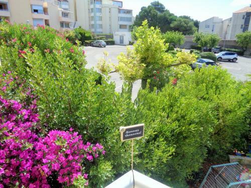 Apartamento Tout Confort En Bord de Mer, Pkg, Clim