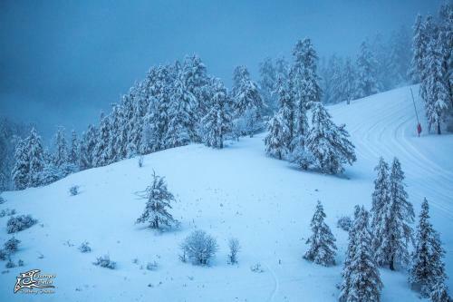 Bed & Breakfast Chalet Sainte-marie Valberg