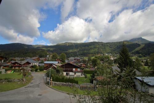 Chalet Beau Tanik 8 Pers Aux Carroz (Chbot)
