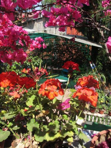 Hostal Souvenir Guest House