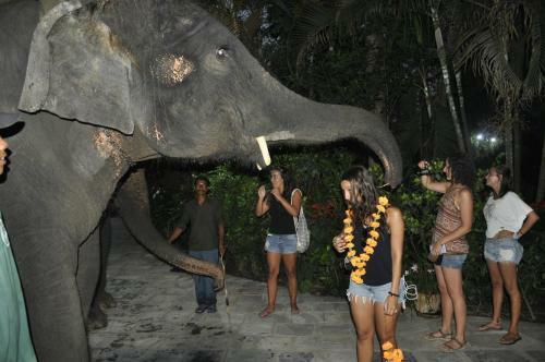 Hotel Jungle Safari Resort P. Ltd.