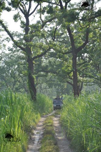 Hotel Jungle Safari Resort P. Ltd.
