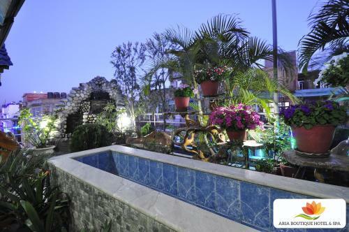 Royal Penguin Boutique Hotel