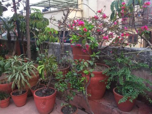 Hostal Holyland Guest House