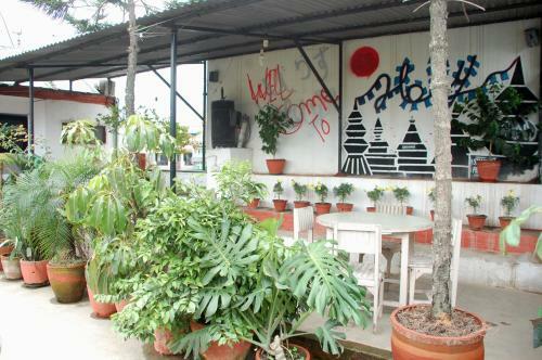 Hostal Holyland Guest House