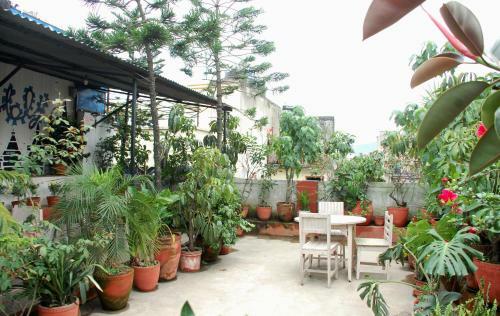 Hostal Holyland Guest House