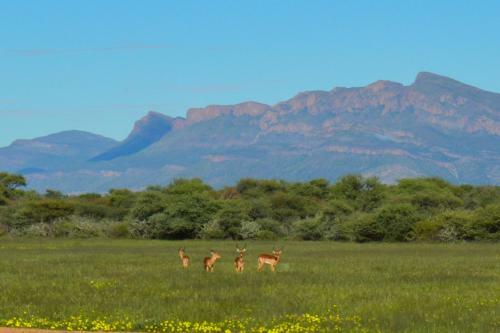 Agroturismo Onduruquea Guestfarm