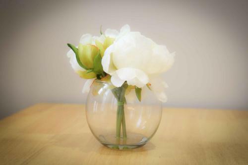 Belfast Serviced Apartments - Eglantine