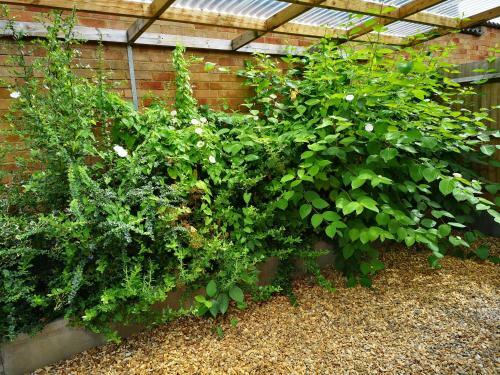 Hostal The Lavenders