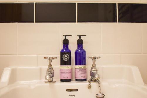Apartamento Cosy Vibrant & Quirky Garden Flat Central Brighton