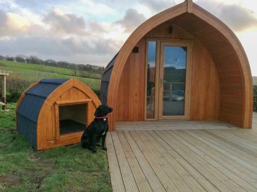 Pheasant Field Pod
