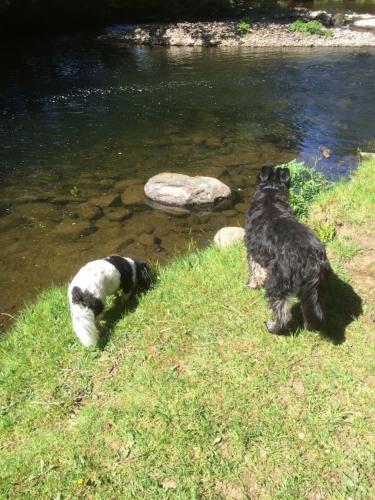 Glan Gwna Upper Lakeside Chalet Dog Friendly